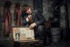 Newt Scamander